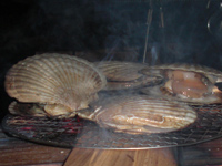 ▲夜の焼きホタテもおいしかったな〜 ▲夜の焼きホタテもおいしかったな〜
