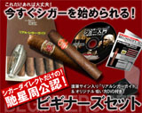 国内最速!誰も知らないリミテッド!NobodyKnows2008!レアなシガーを個人輸入で!
